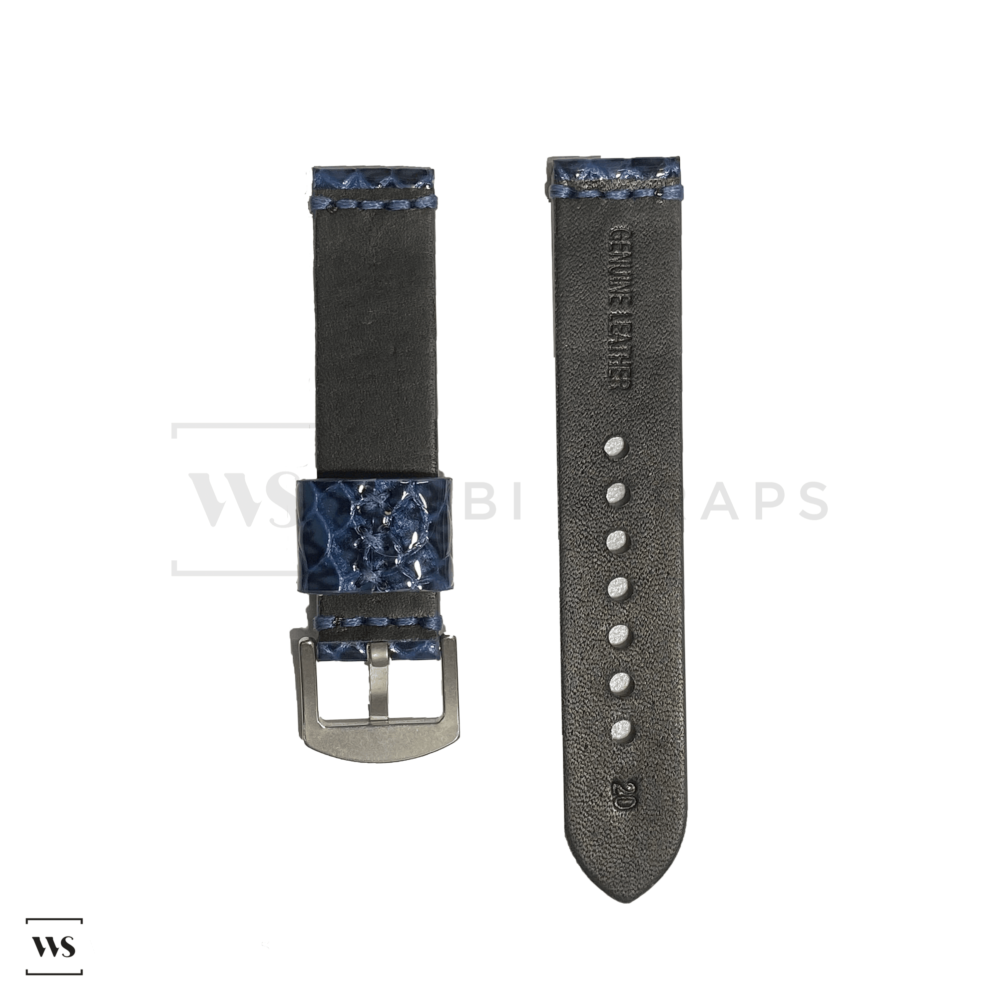 Blue Gecko Rubber Watch Band Front